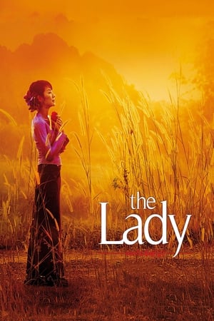 The Lady 2011 Dual Audio Hindi Movie | Hindi Dubbed Movie Bluray - 920MB