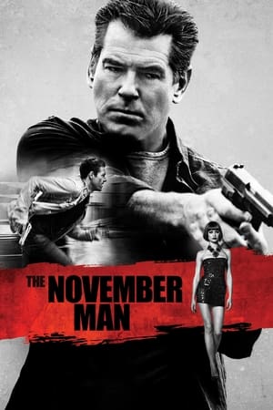 The November Man 2014 Dual Audio [Hindi - English] | Hindi Dubbed Movie BluRay 350MB