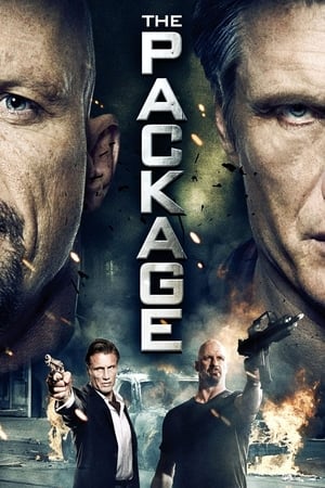 The Package (2013) Hindi Dual Audio | Hindi Dubbed Movie HDRip [750MB]