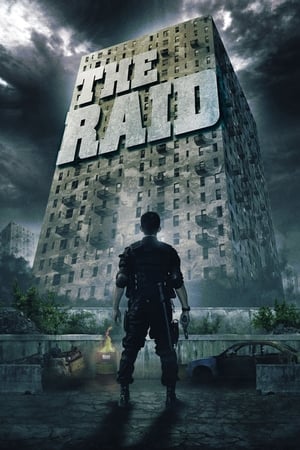 The Raid: Redemption (2011) Hindi Dual Audio | Hindi Dubbed Movie BluRay 300MB ESubs