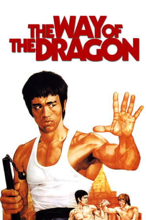 The Way of the Dragon (1972) Hindi Dual Audio | Hindi Dubbed Movie BluRay [940MB]