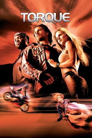 Torque 2004 Hindi Dual Audio BRRip | Hindi Dubbed Movie [600MB] Download
