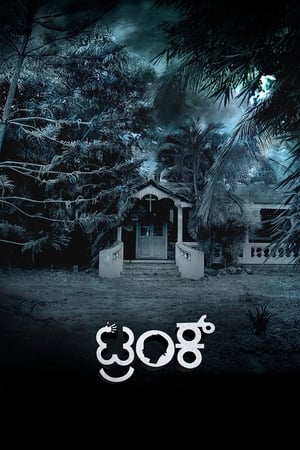 Trunk (2018) (Hindi - Kannada) Dual Audio | Hindi Dubbed Movie UnCut HDRip [1.4GB]
