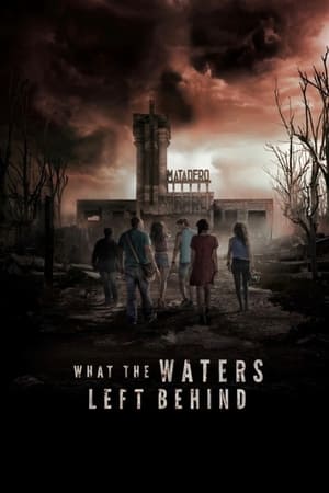 What the Waters Left Behind 2017 Hindi Dual Audio HDRip | Hindi Dubbed Movie – 480p