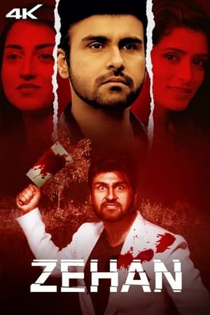 Zehan 2024 Hindi HDRip | Hindi Dubbed Movie – 480p